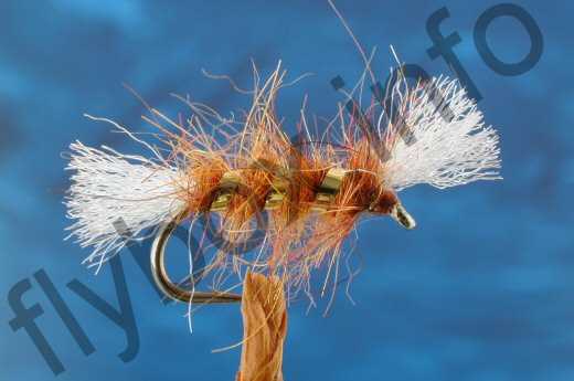 Shipman's Fiery Brown Buzzer